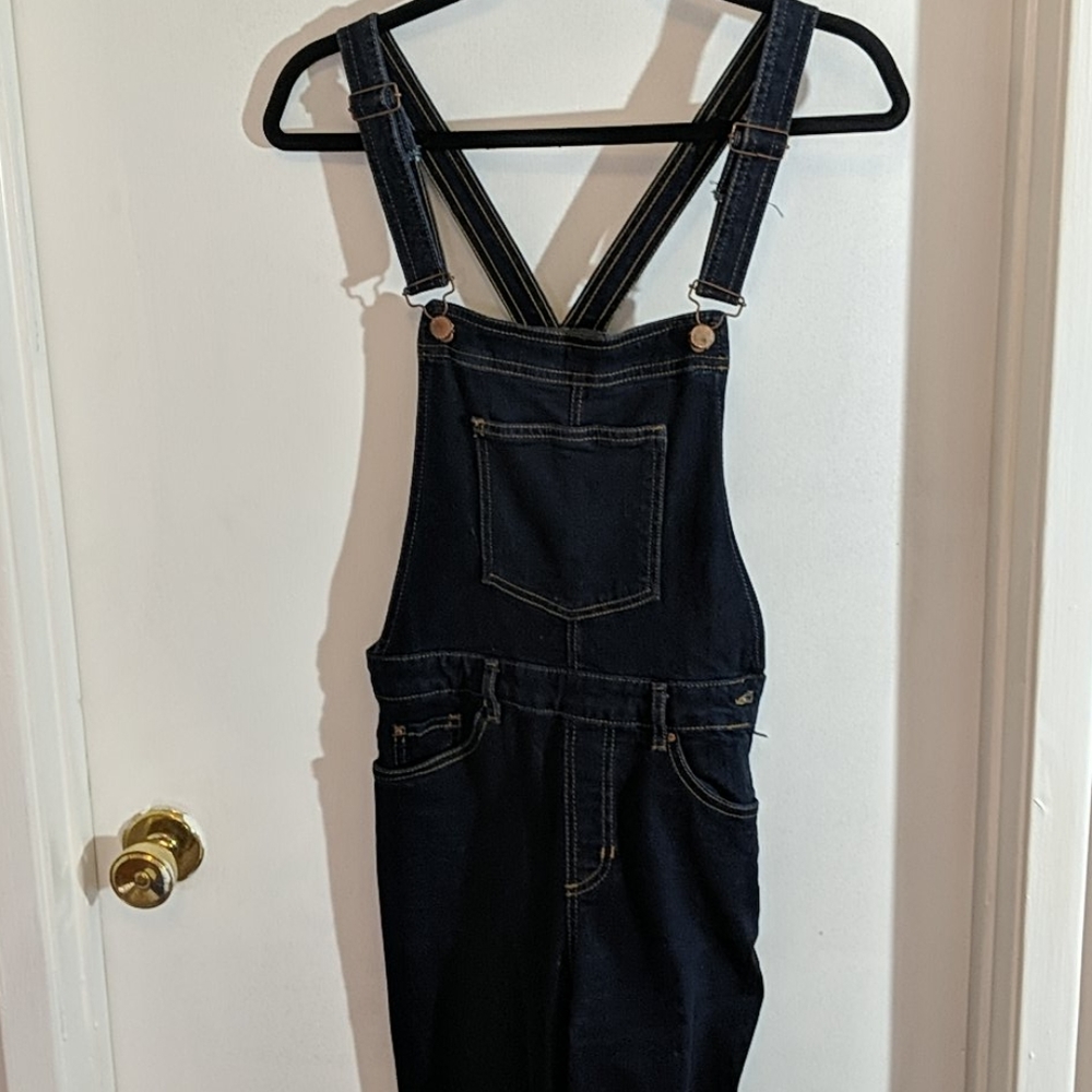 Zara Denim Fit and Flair Overalls Dark Wash